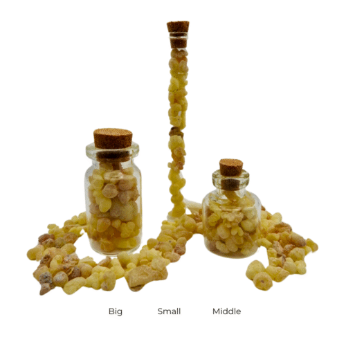 77 Dawid lebe dAloho / David, heart of God / ܕܘܝܕ ܠܒܗ ܕܐܠܗܐ