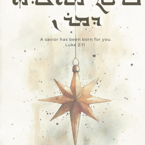 CHRISTmas Postcard – “A Savior Has Been Born for You”